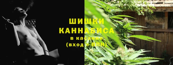 PSILOCYBIN Богородицк