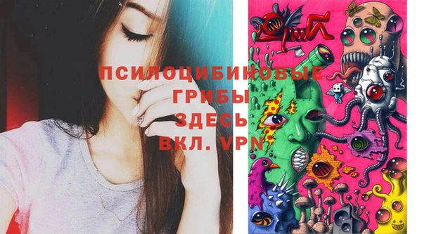 экстази Богданович