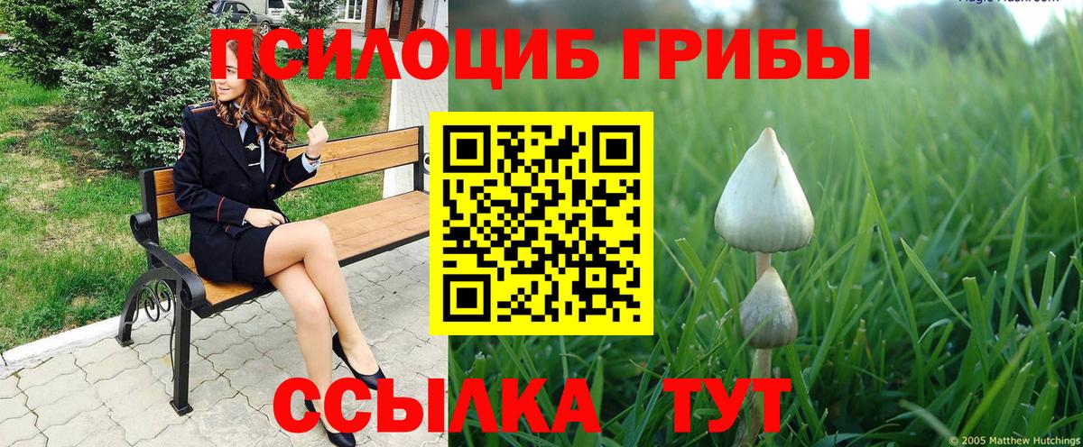 Псилоцибиновые грибы ЛСД Дагестанские Огни