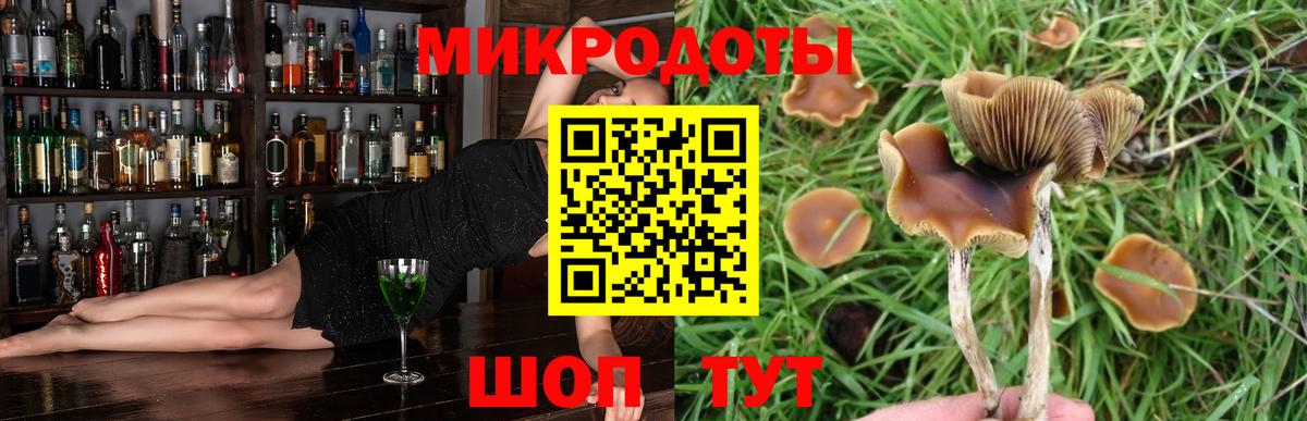 Псилоцибиновые грибы ЛСД  Вход с VPN  Дагестанские Огни 