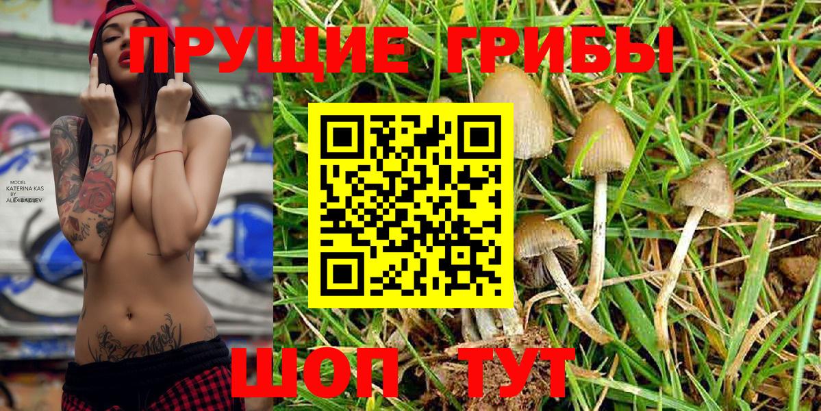 Псилоцибиновые грибы мицелий  Дагестанские Огни  Галлюциногенные грибы Magic Shrooms 